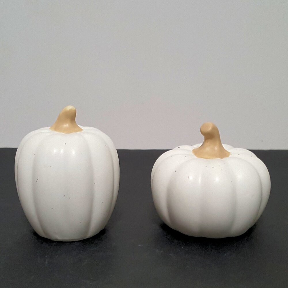 NEW Kirklands Speckled Matte Stoneware Pumpkin Salt and Pepper Shaker Set